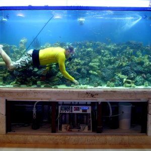 Фото как чистить аквариум
