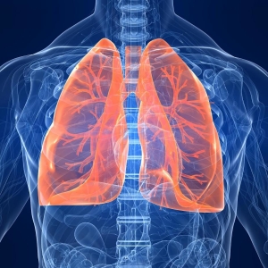 Foto o que tratar bronquite