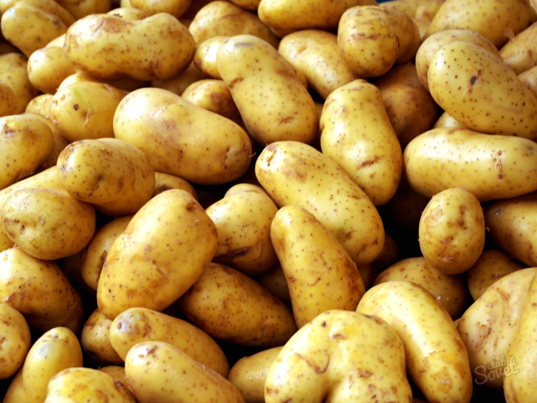 Como cuidar de batatas