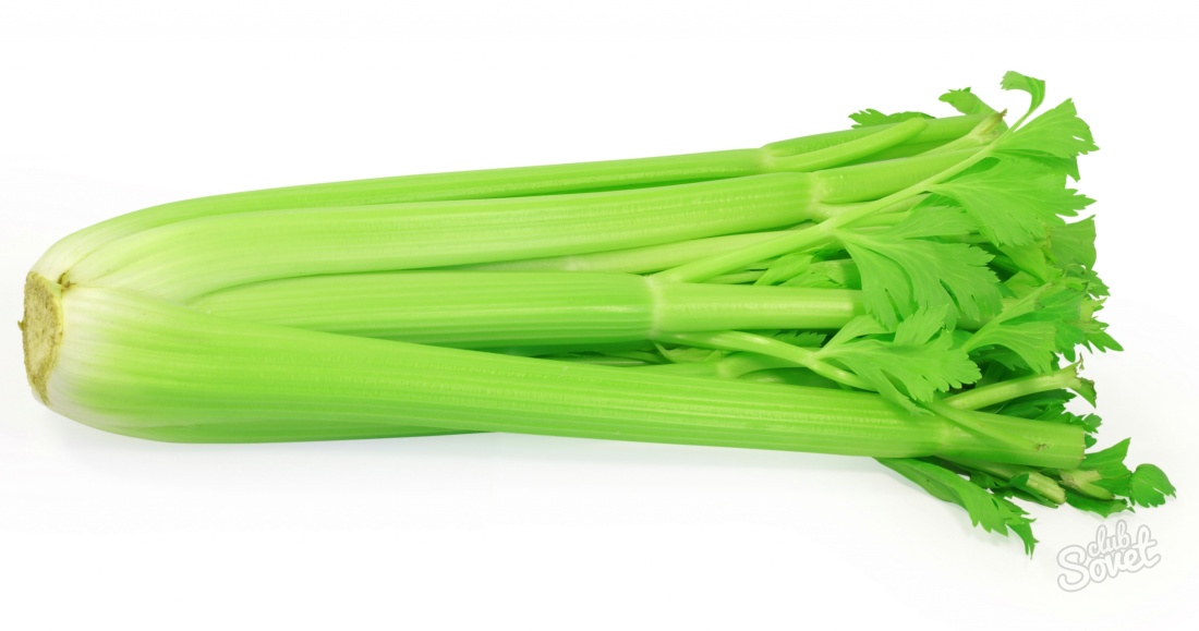 What Celery is useful