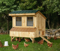 Jak zbudować stodołę na kurczaki