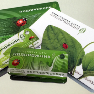 Fotografie Cum să completați un card de transport prin Sberbank Online