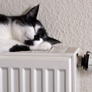 Photo How to choose Bimetallic radiators