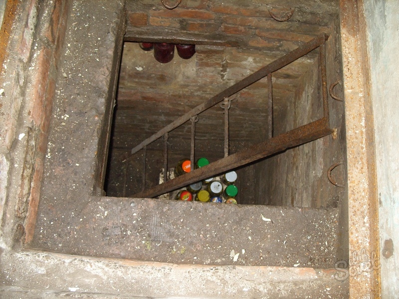 Cellar-2.