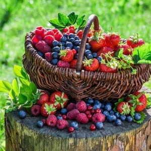 Как да сушат плодове