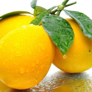 Foto hur man odlar citron från ett ben