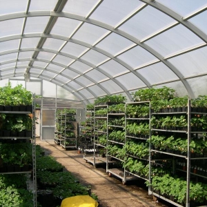 Stock Foto How to warm greenhouse in spring