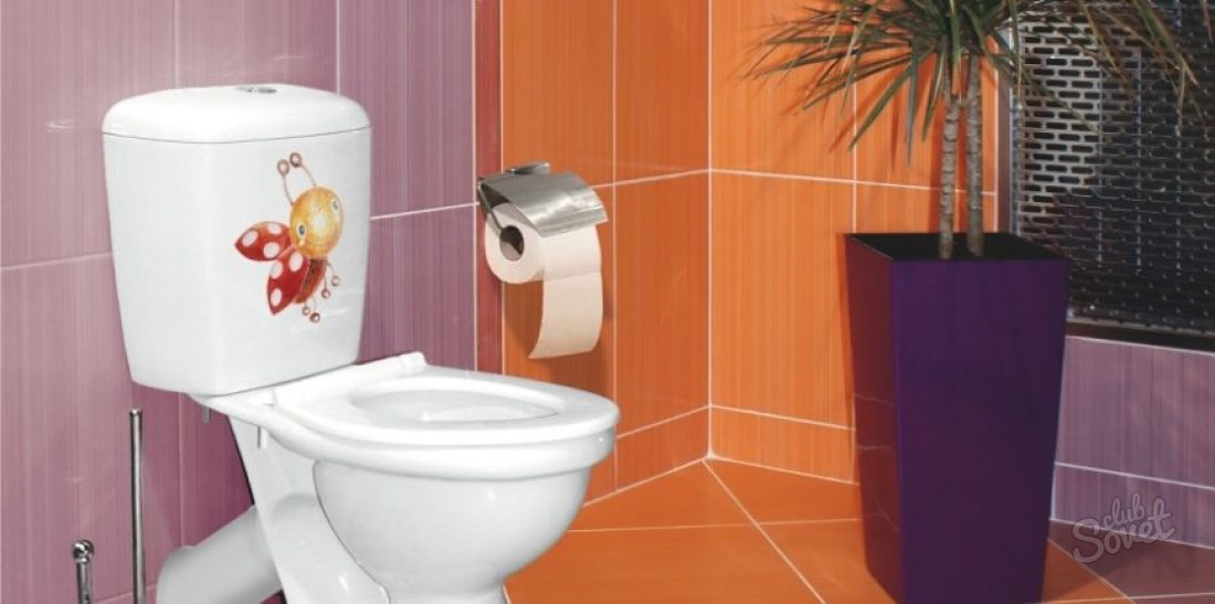 Die Toilette informieren - was zu Hause zu tun?