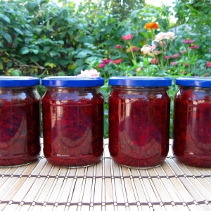 Fotografie de condimente pentru borscht pentru iarna - rețete