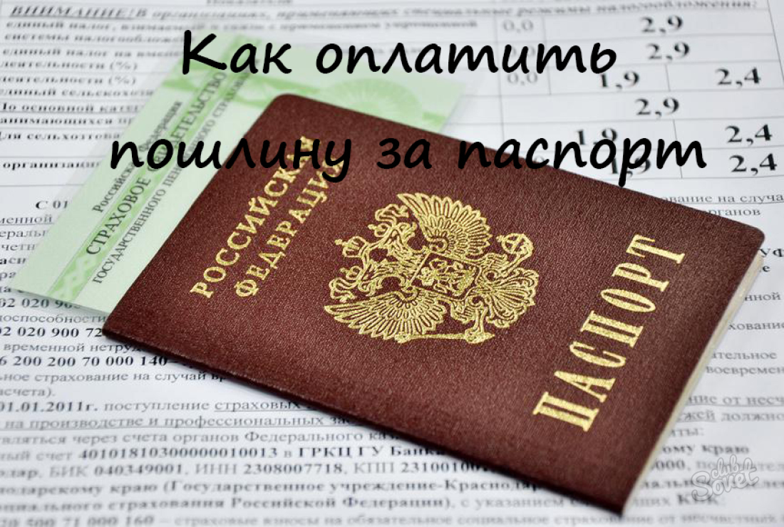 How to pay state duty for a passport