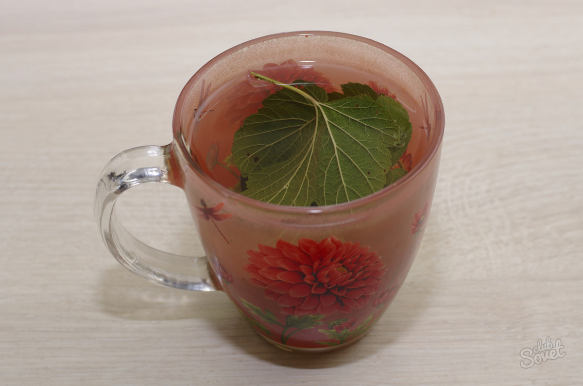 Листья малины отвар. Смородиновый чай. Чай из смородиновых листьев. Чай с листьями смородины. Чай из смородины и листьев вишни.