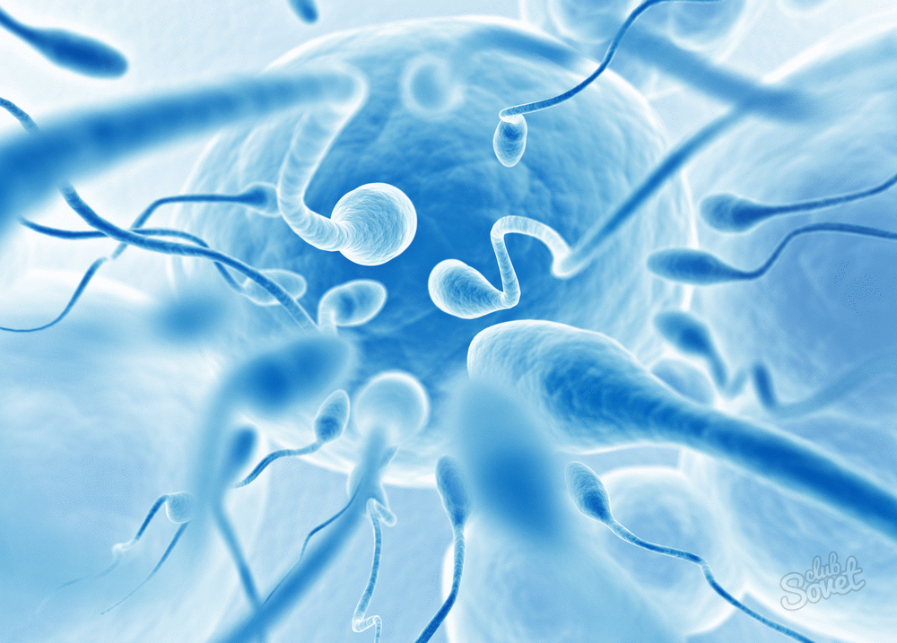 Wie man das Spermogramm entschlüsselt