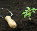 Comment faire le sol fertile