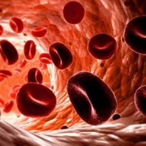 Fotografija Kako povečati krvni hemoglobin