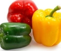 How to plant bell pepper