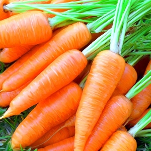 Снимка каква мечта за моркови?