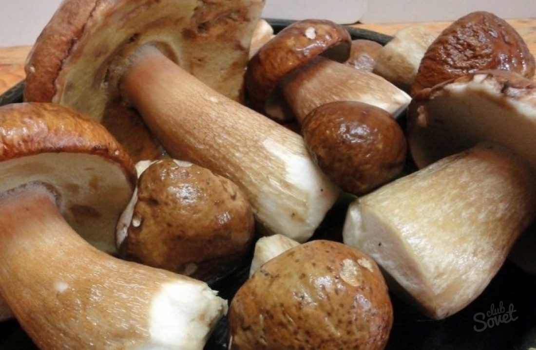 Jak vařit bílé houby?