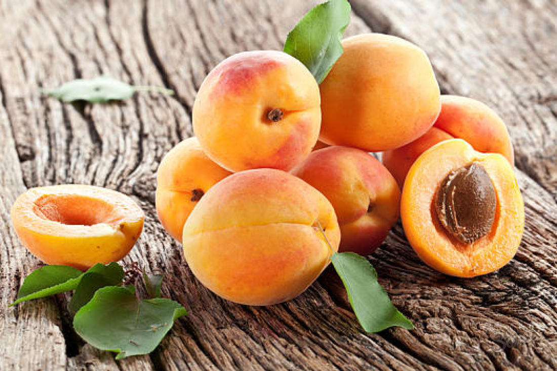 How to grow apricot