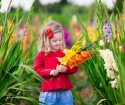 Gladiolus pri kopanju i kako pohraniti