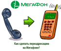 Cum să faci redirecționarea pe Megaphone