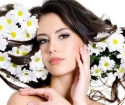 Decoction of chamomile for hair, how to cook