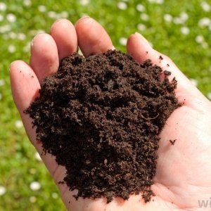 Stock Foto How to determine the acidity of the soil