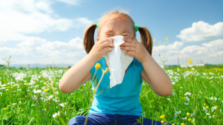 Kako ugotoviti, kakšna alergija v otroku