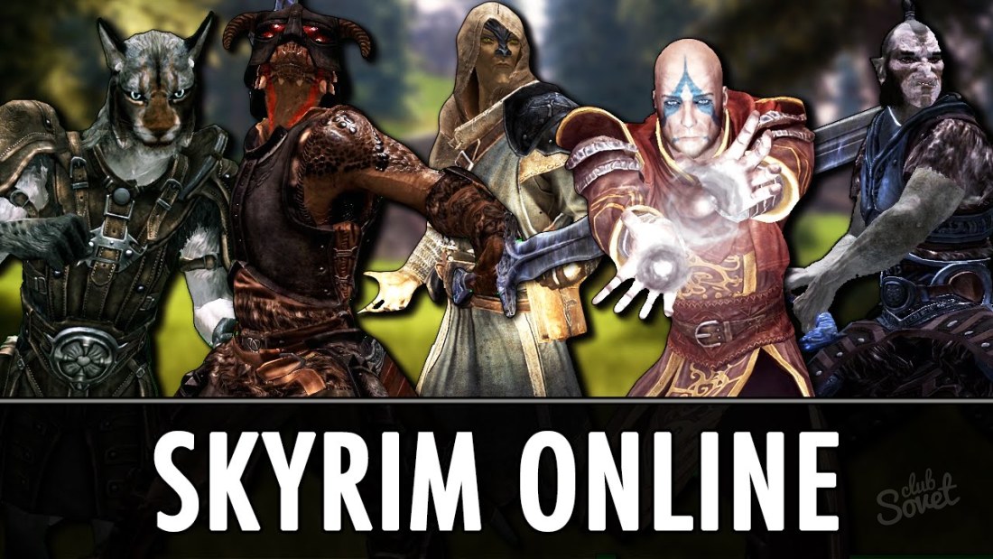 كيف تلعب Skyrim على الشبكة