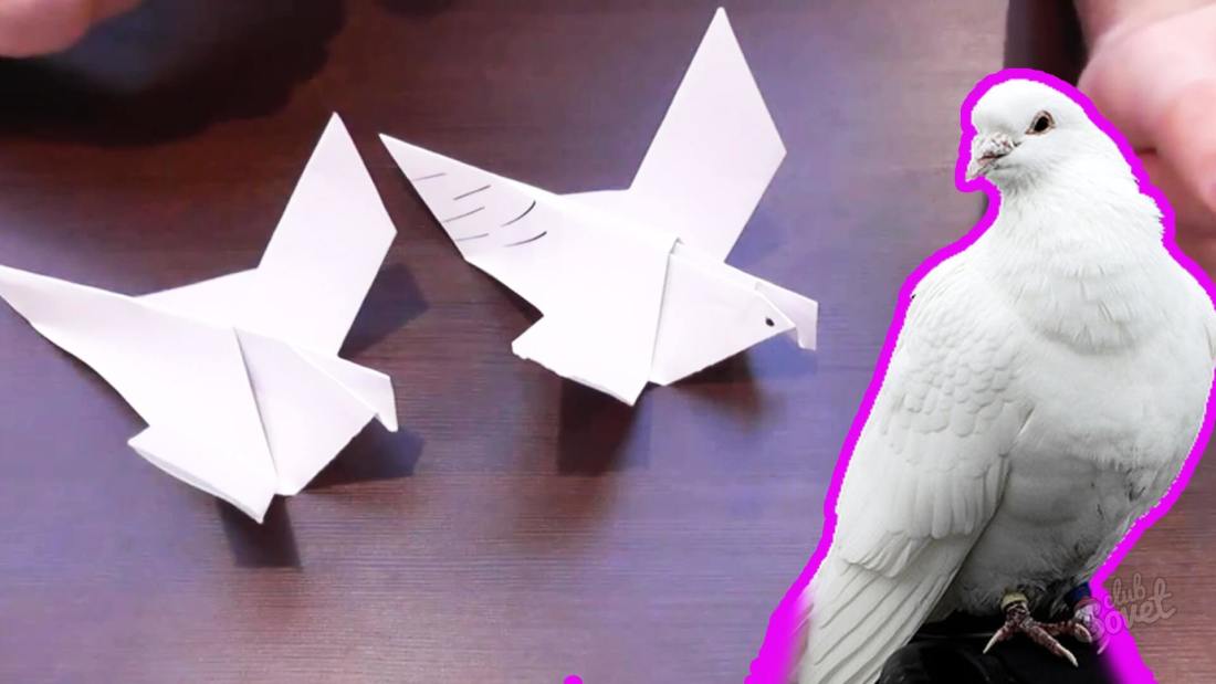 Ako vyrobiť holuby z papiera vlastnými rukami?