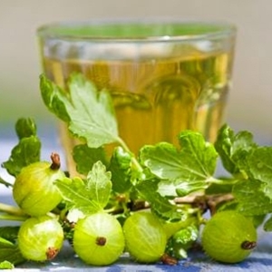 Photo What to do from the gooseberry for the winter - recipes