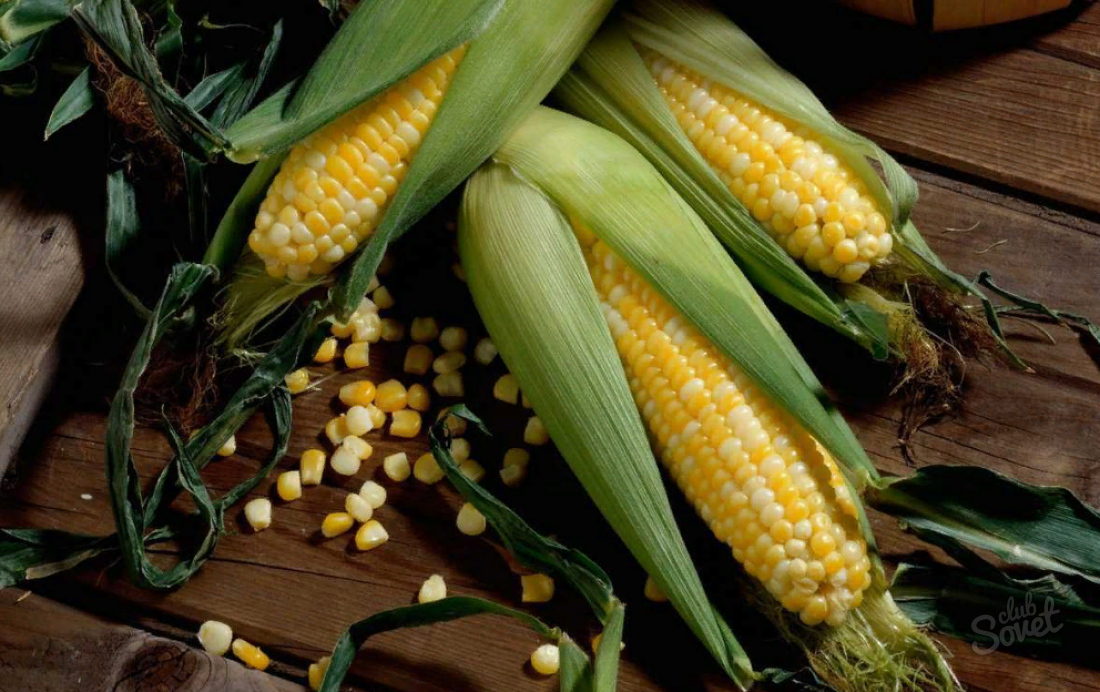 Jak zamrażać kukurydzę