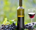 Как сделать вино из синего винограда?