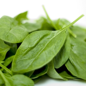 ფოტო როგორ მცენარეთა spinach