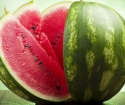 Como economizar melancia para o ano novo
