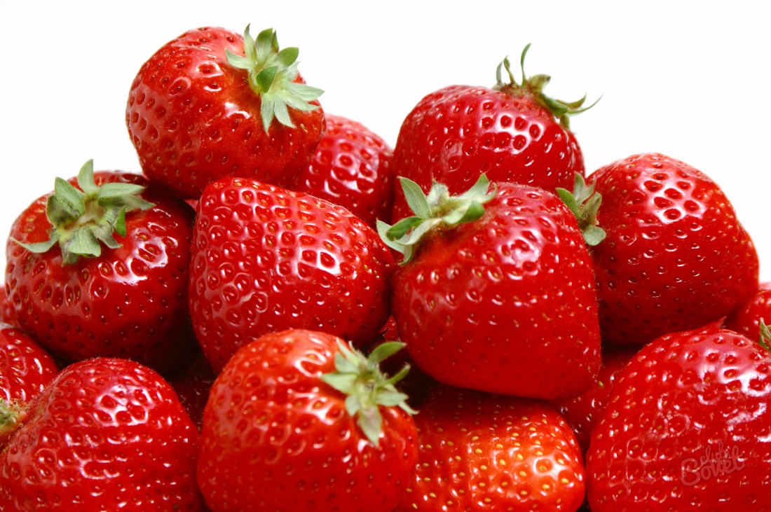 Growing strawberries as a profitable business