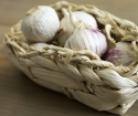 How to save garlic until spring at home