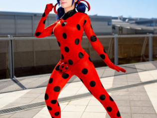 How to make a suit lady bug