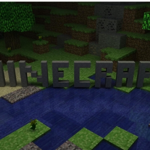 ფოტო როგორ დააყენოთ კანი Minecraft- ში