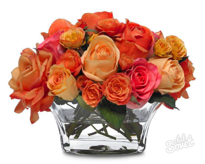 Comment-sauve-sauve-roses-in-a vase