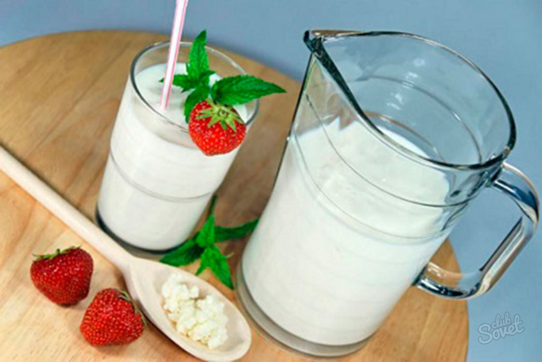 Süt Mantarı - Nasıl Bakım ve Kullanım