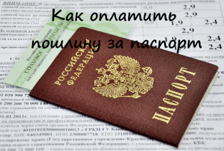 Kako plačati državno dolžnost za potni list