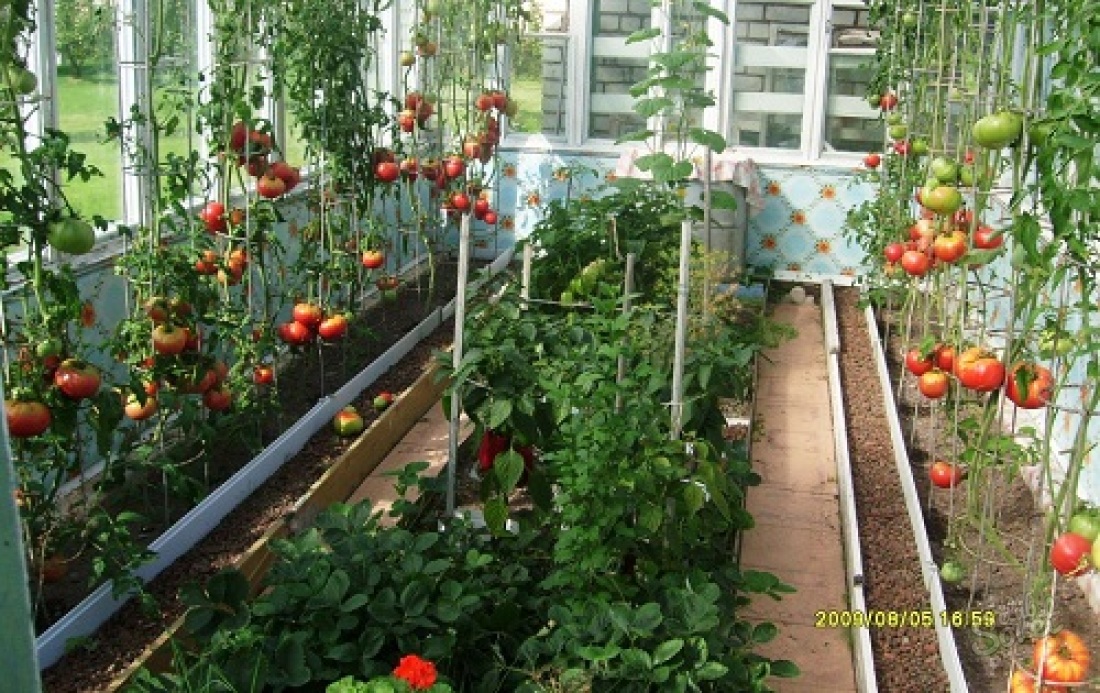 How to make a wooden greenhouse