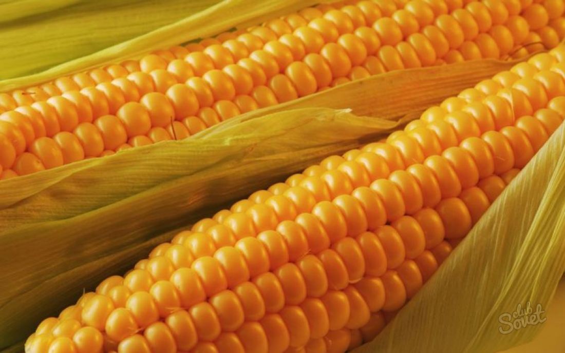 К чему снится кукуруза?