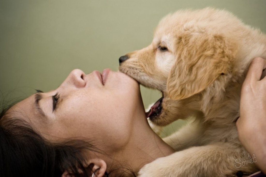 How to wean a dog biting