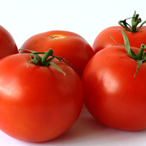 Como cultivar tomates na estufa