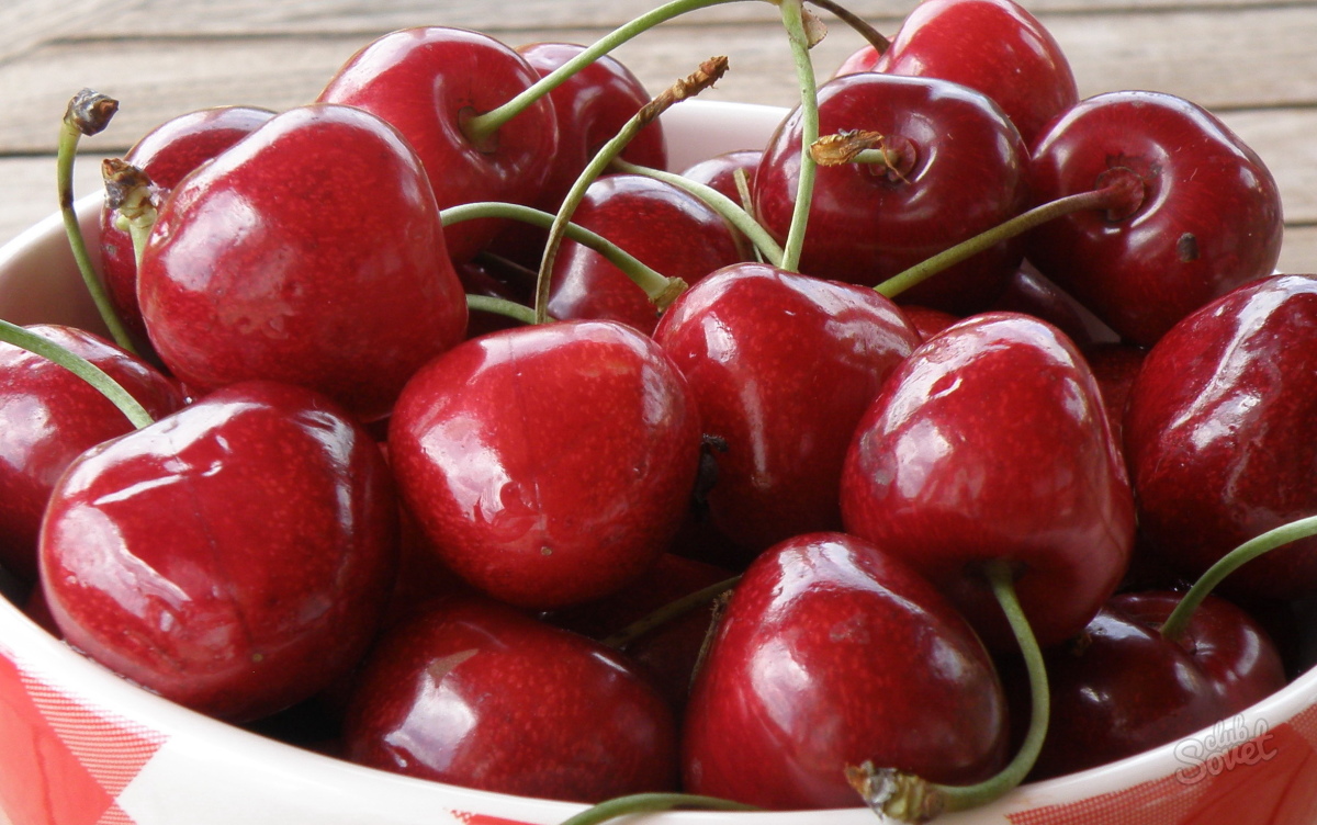 Ako vštepiť čerešňový cherry