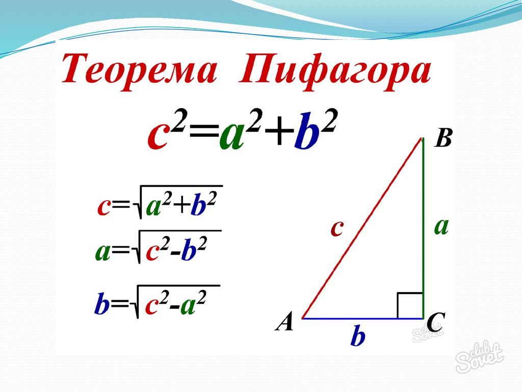 Как найти площадь прямоугольного треугольника