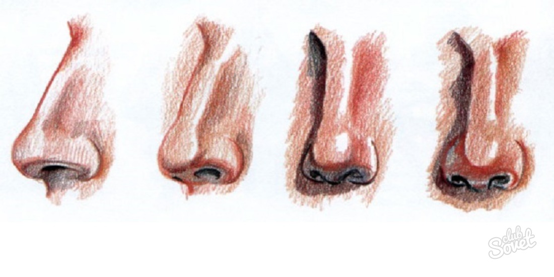 Как да нарисувате нос
