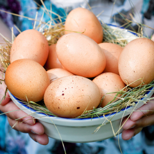 چگونه تخم مرغ را طبخ کنیم تا آنها را پشت سر بگذارند