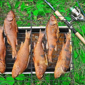 Stock Foto Comment faire de tabagisme pour poisson